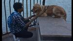 CIDCO has invited bids for lease of plots marked for veterinary hospitals in Navi Mumbai. Two plots where the hospitals are proposed to be constructed are situated in Sanpada and Kharghar. (For representational purposes only) (PRAFUL GANGURDE/HT PHOTO) CIDCO has invited bids for lease of plots marked for veterinary hospitals in Navi Mumbai. Two plots where the hospitals are proposed to be constructed are situated in Sanpada and Kharghar. (For representational purposes only) (PRAFUL GANGURDE/HT PHOTO)