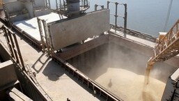 Ukraine's grain exports fell to around 923,000 tonnes in April from 2.8 million tonnes in the same month in 2021 due to the war, analyst APK-Inform said this week.