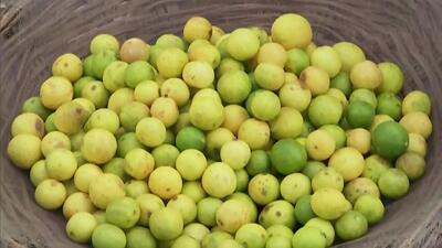 The jail official had shown purchase of 50 kilograms of lemon in April, when the prices were hovering above  ₹200 per kilogram, even as the inmates claimed lemons were never used in the kitchen. (ANI)