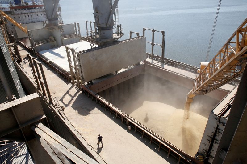 Ukraine's grain exports fell to around 923,000 tonnes in April from 2.8 million tonnes in the same month in 2021 due to the war, analyst APK-Inform said this week. (Reuters file photo)