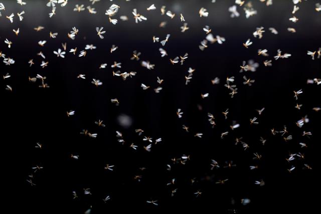 In limitless space (Shutterstock) In limitless space (Shutterstock)