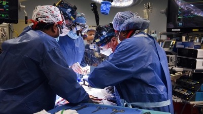 Surgeons performing a transplant of a heart from a genetically modified pig to patient David Bennett, Sr., in Baltimore, Maryland in January. (AFP) Surgeons performing a transplant of a heart from a genetically modified pig to patient David Bennett, Sr., in Baltimore, Maryland in January. (AFP)