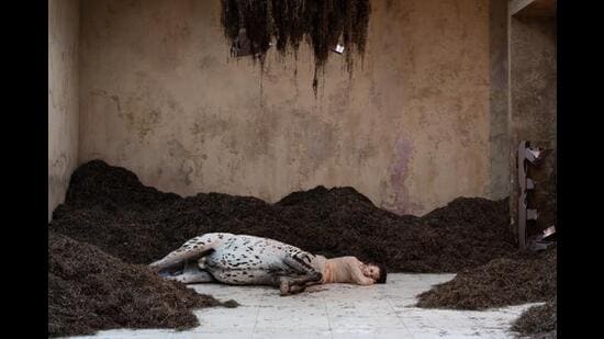 Centaurs lie wounded, mutated, dying, in the Danish pavilion. It is not clear what happened to them and the world they live in. (Marco Cappelletti) Centaurs lie wounded, mutated, dying, in the Danish pavilion. It is not clear what happened to them and the world they live in. (Marco Cappelletti)