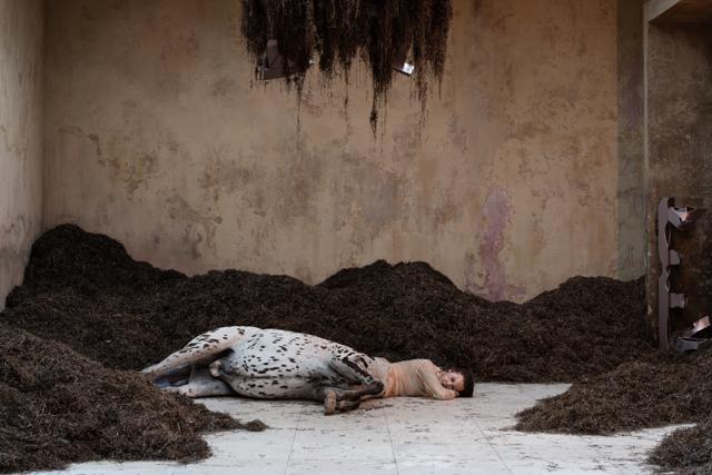 Centaurs lie hurt, mutated, dying, at the Danish Pavilion. It is not obvious what has happened to them and the world they live in. (Marco Cappelletti)