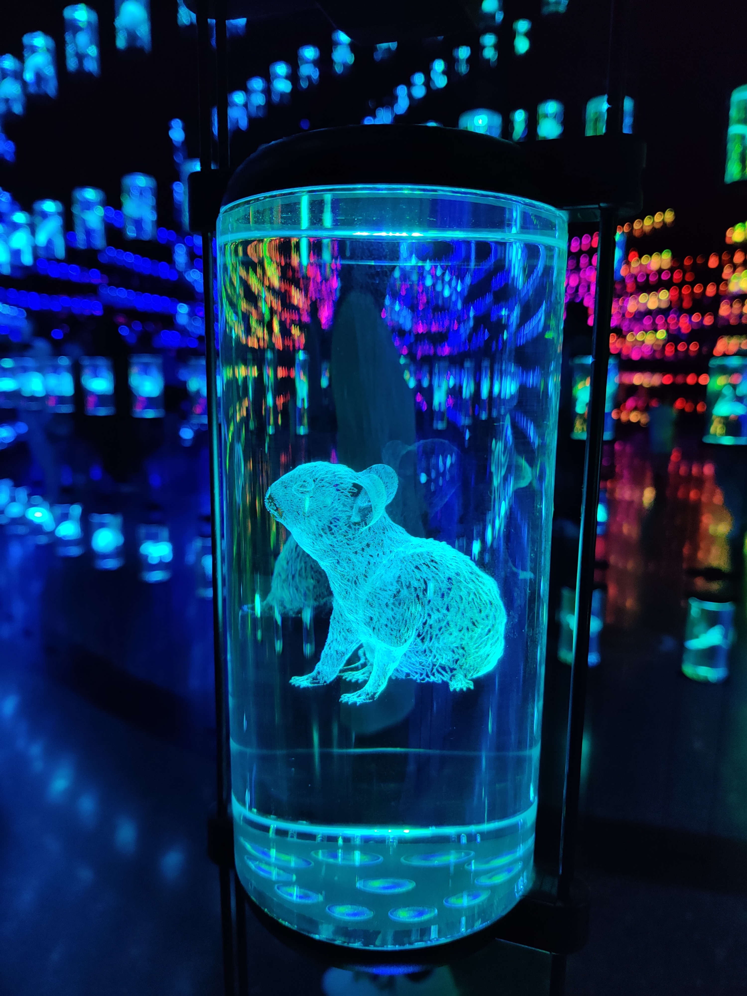 An exhibit at the Library of Life in Dubai’s Museum of the Future. Before leaping into tech it’s important to get the messaging right, museologists say. This museum opened in February and is already popular, for instance, but it does more to showcase the future of public-friendly exhibits than it does to showcase the future itself. (Chetna Chakravarty for HT) An exhibit at the Library of Life in Dubai’s Museum of the Future. Before leaping into tech it’s important to get the messaging right, museologists say. This museum opened in February and is already popular, for instance, but it does more to showcase the future of public-friendly exhibits than it does to showcase the future itself. (Chetna Chakravarty for HT)