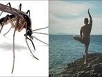 Yoga for Dengue: 4 exercises that will aid recovery from dengue virus&nbsp;