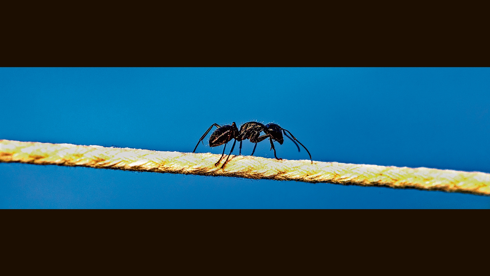 At the end of her rope? The Wknd Puzzle by Dilip D’Souza