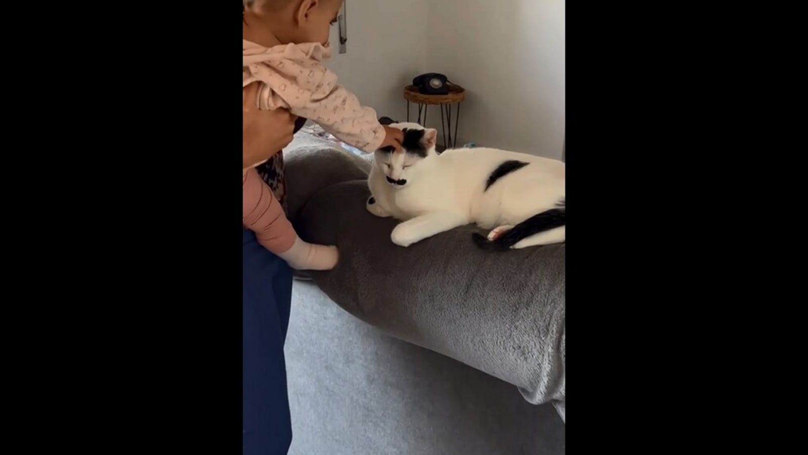 Cat patiently sits as baby grabs its face while petting it. Watch