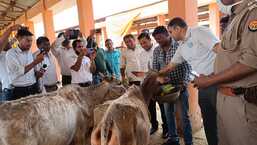 DM Abhishek Prakash inspecting a cow shelter at Mohanlalganj tehsil during ‘Sampoorna Samadhan Diwas’ on Saturday. (Sourced)