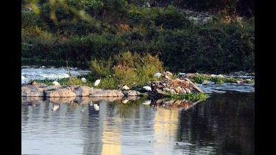 More than a month ago, the NGOs and the government authorities came together to reach a consensus on the Pune’s riverfront development project which has now come to a standstill (HT FILE PHOTO)