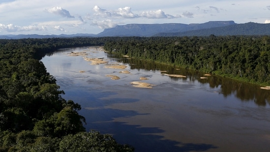 Uraricoera River is seen flowing through the heart of the Amazon rainforest, in Roraima state, Brazil April 15, 2016. (REUTERS/Bruno Kelly)