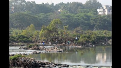 Activists have demanded the land at Salim Ali Bird Park to be handed over to the forest department for the preservation of biodiversity. (HT FILE PHOTO) Activists have demanded the land at Salim Ali Bird Park to be handed over to the forest department for the preservation of biodiversity. (HT FILE PHOTO)