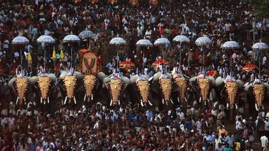 One of the highlights of the Thrissur Pooram is the musical ensemble which consists of traditional instruments like maddalam, edakka, thimila, chenda, and kombu.(Pinterest)