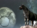 Let's look at what different zodiac signs need to bear in mind during this retrogression.(shutterstock) Let's look at what different zodiac signs need to bear in mind during this retrogression.(shutterstock)