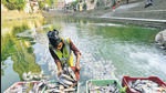 The rate of turbidity of the main tank water was also found to be high along with the biological oxygen demand (BOD) level, which indicates a deficiency in the level of oxygen in the water, necessary for the sustenance of marine life (Anshuman Poyrekar/HT PHOTO) The rate of turbidity of the main tank water was also found to be high along with the biological oxygen demand (BOD) level, which indicates a deficiency in the level of oxygen in the water, necessary for the sustenance of marine life (Anshuman Poyrekar/HT PHOTO)