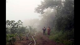 Residents and regular visitors at Taljai hill are fearing the rapid development, which they say will impact the hills biodiversity (HT FILE PHOTO)