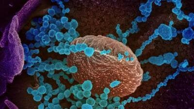 At 71, Mohali’s active cases breached the 70 mark after 68 days. Another 78 people are still infected in Chandigarh and 28 more in Panchkula. (Reuters file photo)