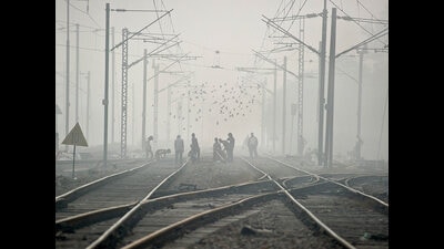 This is the third such project for the augmentation of railways in and around Mumbai that will result in the loss of forest land. (AFP) This is the third such project for the augmentation of railways in and around Mumbai that will result in the loss of forest land. (AFP)