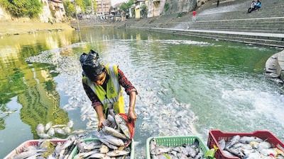 The rate of turbidity of the main tank water was also found to be high along with the biological oxygen demand (BOD) level, which indicates a deficiency in the level of oxygen in the water, necessary for the sustenance of marine life (Anshuman Poyrekar/HT PHOTO) The rate of turbidity of the main tank water was also found to be high along with the biological oxygen demand (BOD) level, which indicates a deficiency in the level of oxygen in the water, necessary for the sustenance of marine life (Anshuman Poyrekar/HT PHOTO)