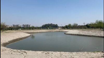 One of the waterbodies at the Amrut biodiversity park which is being developed by the DDA. (Sourced) One of the waterbodies at the Amrut biodiversity park which is being developed by the DDA. (Sourced)