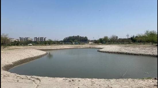 One of the waterbodies at the Amrut biodiversity park which is being developed by the DDA. (Sourced)
