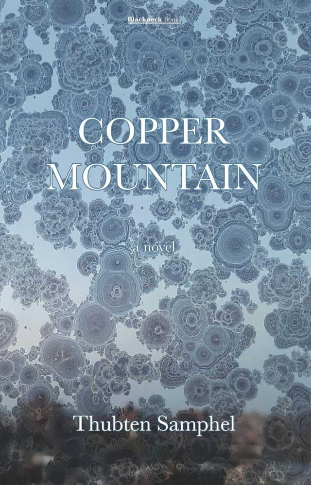 245pp, ₹200; BlackNeck Books; Can be purchased by mailing blackneckbooks@tibetwrites.in 245pp, ₹200; BlackNeck Books; Can be purchased by mailing blackneckbooks@tibetwrites.in