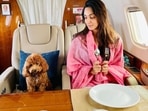 Kiara Advani shared new picture. Kiara Advani shared new picture.
