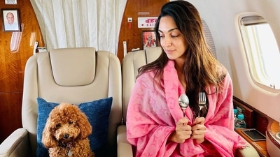 Kiara Advani shared new picture. Kiara Advani shared new picture.