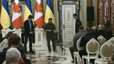The image shows the dog getting an award from Volodymyr Zelenskyy&nbsp;in presence of Justin Trudeau. (Twitter/@DefenceU)