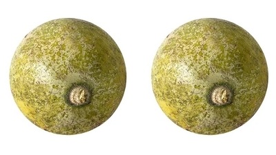 Weight loss: Bael juice contains 140 healthy calories and is considered good for shedding those extra kilos. (Pinterest) Weight loss: Bael juice contains 140 healthy calories and is considered good for shedding those extra kilos. (Pinterest)