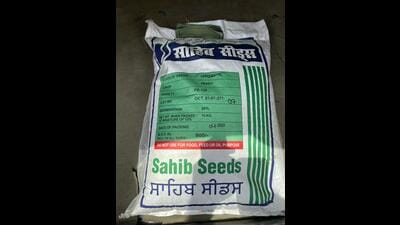 Punjab agriculture department withdraws order allowing private dealers to sell PR 126 at MRP Punjab agriculture department withdraws order allowing private dealers to sell PR 126 at MRP
