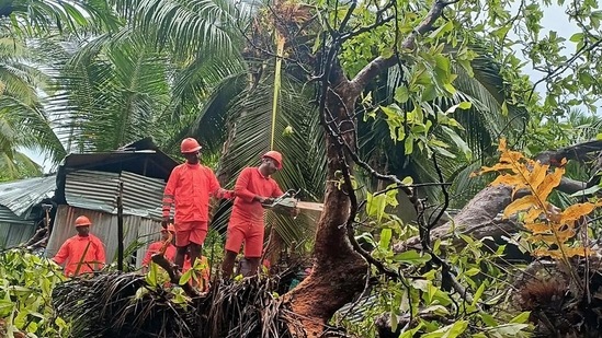 NDRF team clearing trees in vulnerable areas as a precautionary measure for the Cyclone Asani, in Andaman.(HT_PRINT) NDRF team clearing trees in vulnerable areas as a precautionary measure for the Cyclone Asani, in Andaman.(HT_PRINT)