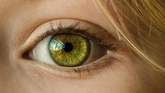 Study: Retinal cell mapping could promote accurate therapies for blindness(Pixabay)