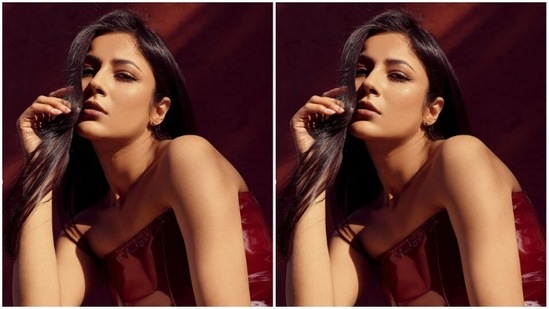Styled by fashion stylist Khushboo Rajoriya, Shehnaaz wore her long tresses open and decked up in nude eyeshadow, mascara-laden eyelashes, contoured cheeks and a shade of nude lipstick.(Instagram/@shehnaazgill)