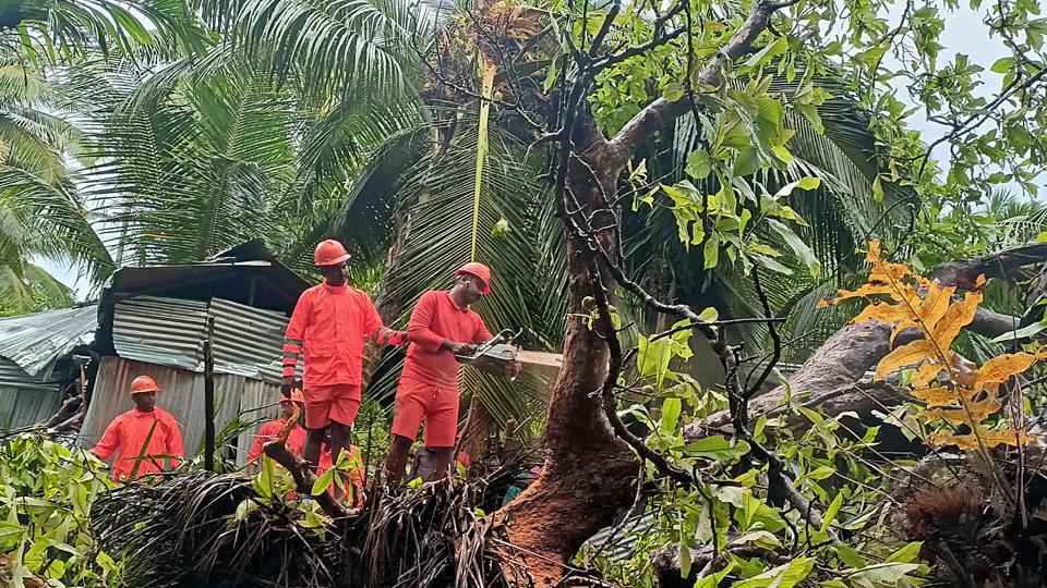 NDRF team clearing trees in vulnerable areas as a precautionary measure for the Cyclone Asani, in Andaman. (HT_PRINT) NDRF team clearing trees in vulnerable areas as a precautionary measure for the Cyclone Asani, in Andaman. (HT_PRINT)