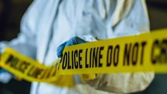 Evidence and witness statements indicated that McKinnon attacked Dent in their home.(Representative image)