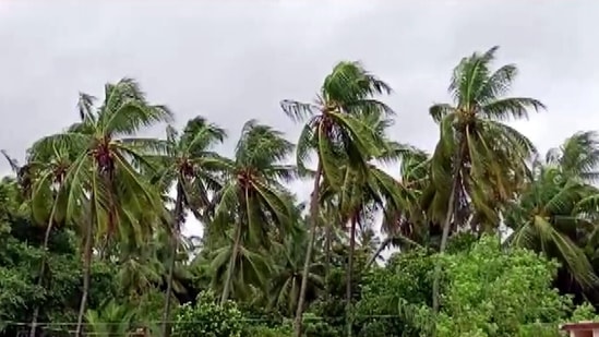 "Asani lay centered at 0230 hours IST of May 11, over the same region near latitude 15.6°N and longitude 81.3°E, about 60 km south-southeast of Machilipatnam (Andhra Pradesh), 180 km south-southwest of Kakinada (Andhra Pradesh), 310 km southwest of Visakhapatnam (Andhra Pradesh), 550 km south-southwest of Gopalpur (Odisha) and 660 km southwest of Puri (Odisha)," said IMD.(ANI)