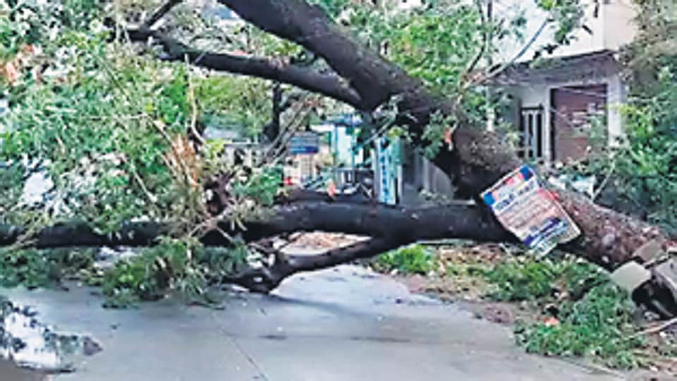 The weather system is likely to further lose steam and turn into a depression by Thursday morning, it said (ANI)