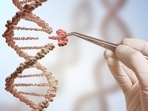 New intranasal and injectable gene therapy could prolong healthy life