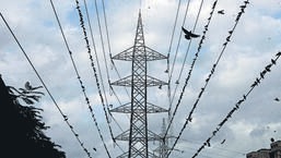 PSPCL should focus on the top 20 loss-making divisions, with active political and police help to check power theft, the powercom engineers suggested. (HT File)
