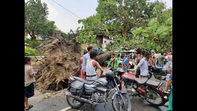 A tree uprooted in front of Barha Railway Colony, in Alambagh, after a dust storm in Lucknow on Thursday evening. (HT Photo) A tree uprooted in front of Barha Railway Colony, in Alambagh, after a dust storm in Lucknow on Thursday evening. (HT Photo)
