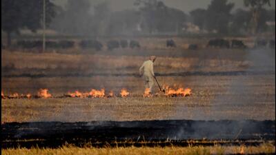 Punjab records 34% rise in stubble burning