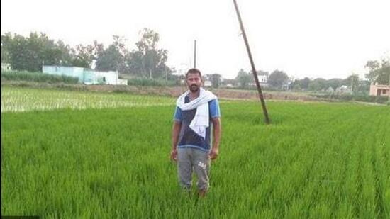 The BKU said compensation of ₹1,500 per acre offered to farmers adopting DSR method is too less, it should be increased to ₹10,000 per acre (HT File/Representational image)