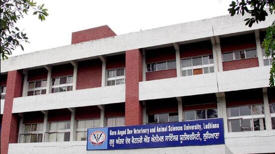 The NRI student from Canada had levelled allegations of personal vendetta and partisan attitude against the authorities of GADVASU, Ludhiana. (HT FILE)