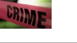 The gang members confessed to have created fake websites of many organisations. (Pic for representation)