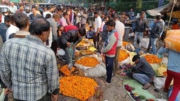 “CSIR-Floriculture mission is a farm-based income generating enterprise having high potential to earn foreign exchange and generate employment for rural and urban youths,” NBRI director SK Barik said (Deepak Gupta/HT Photo)