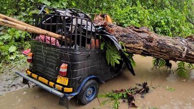 One person was killed and four others injured when a tree fell on an auto-rickshaw at Byrnihat in Meghalaya on Friday. (SOURCED.) One person was killed and four others injured when a tree fell on an auto-rickshaw at Byrnihat in Meghalaya on Friday. (SOURCED.)