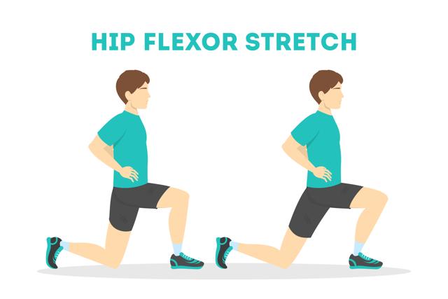 Hip flexors (Shutterstock) Hip flexors (Shutterstock)