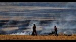 Punjab records highest farm fires in last five years (HT) Punjab records highest farm fires in last five years (HT)