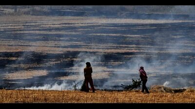 Punjab records highest farm fires in last five years (HT) Punjab records highest farm fires in last five years (HT)